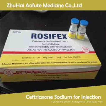 Health Medicine Ceftriaxone Sodium for Injection 0.5g